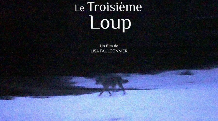 FilmScientifique_3emLoup