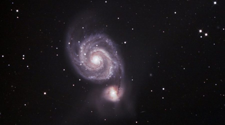 m51_APN_T600_2h55_chiendechasse